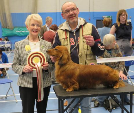 Dachshund westminster best sale dog show 2018